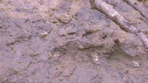 schleich сериал | Хранители | часть 15 | подземная пропасть