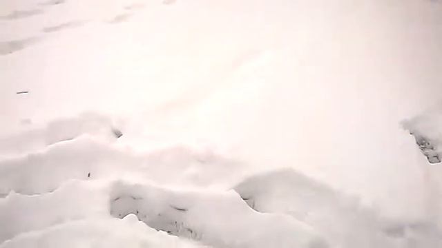 На Рузе с чертиком. смотреть онлайн
