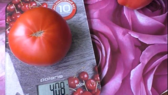 Обзор томата БЫЧИЙ ЛОБ смотреть онлайн