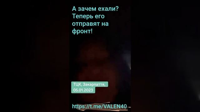 ?Дома надо было сидеть ❗️? смотреть онлайн