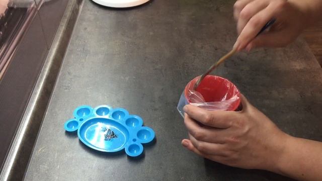 Наука о Животных и их Поведение