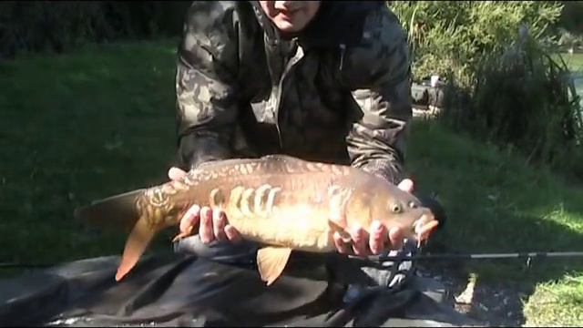 Episode 44: Bob's Lake, Hordle Fisheries. Back of the Landing Net смотреть онлайн