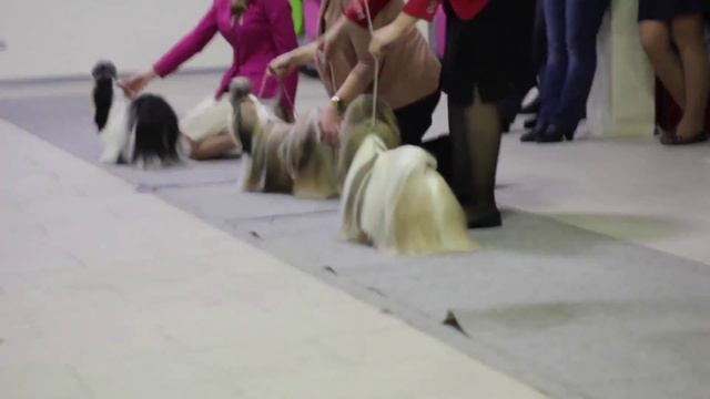 22.02.2015 IDS female BF & R.BF смотреть онлайн