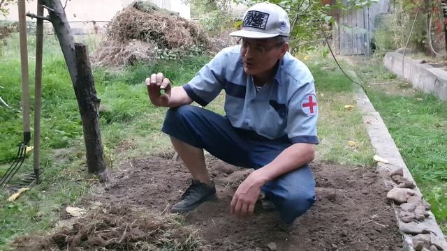 18 Появилась красота из земли (3).mp4 смотреть онлайн