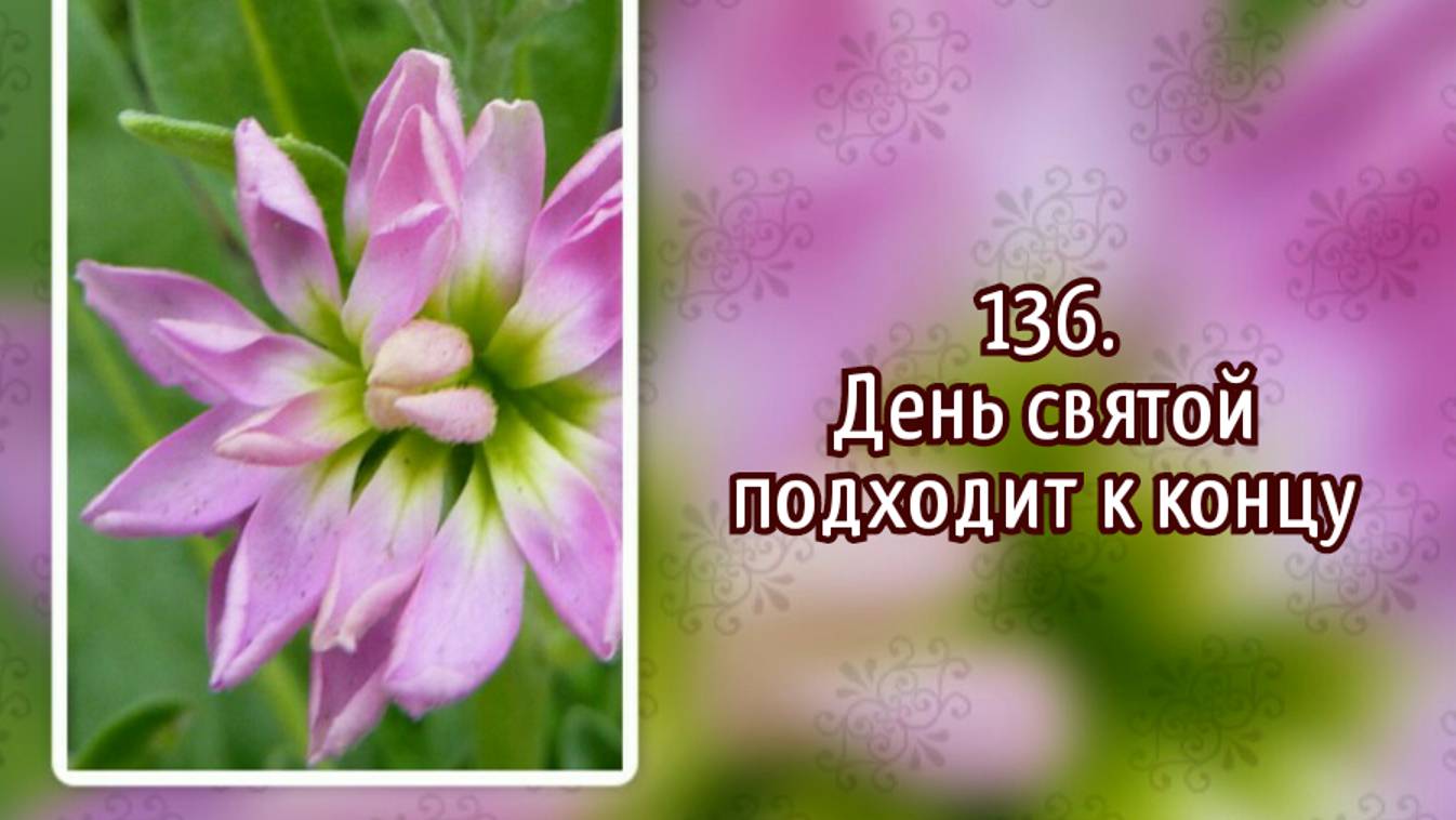 Гимны надежды 136 День святой подходит к концу (-) смотреть онлайн