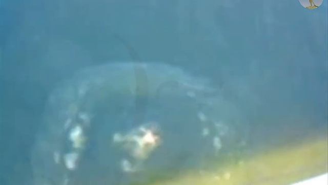 Минус два. Премия Дарвина. ~25 метров.