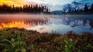 Роберт Адамс -173. Не реагировать - вот единственная духовная жизнь., озвучивает Nikosho.