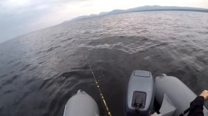 Ловля трески в Белом Море | 1-ая поездка | IRL