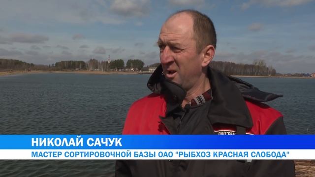 Рыбхоз ОАО "Красная Слобода" увеличивает объемы производства смотреть онлайн