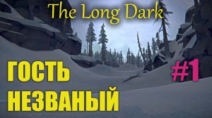 The Long Dark | Выживание | Незваный гость | серия 1