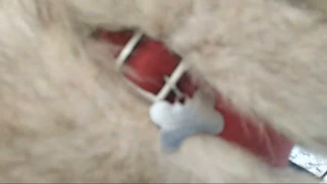 Хари бол. Я очень хочу домой 30.12.2017 смотреть онлайн