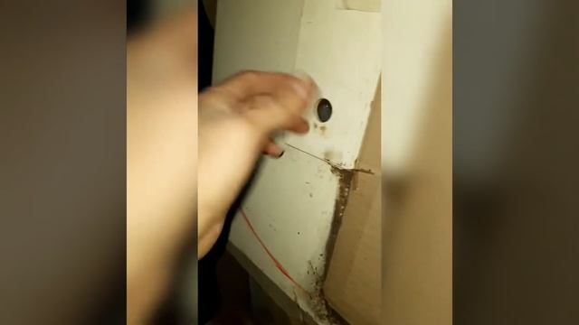 обескрыливатель семян сосны и других пород хвойных смотреть онлайн