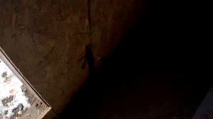 Как горит утеплитель технониколь и пеноплекс