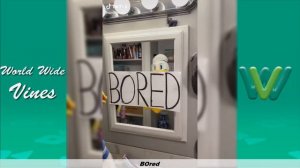 DonaldDucc TikTok Videos 2020 | Donald Duck TikTok Funny Videos 2020