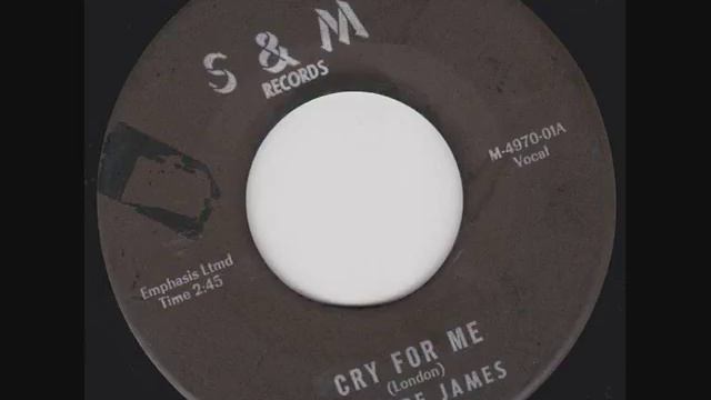 Elmore James - Cry For Me