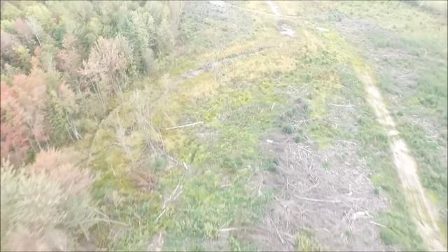 5 Parcours site Vue d'Ouest en Est 45m смотреть онлайн