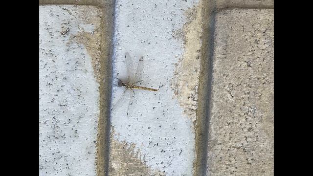 THE ORACLE REPORT | July 22, 2019 - "Radical Transformation" смотреть онлайн