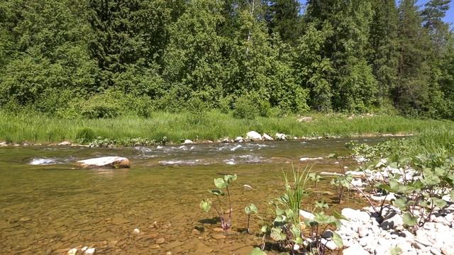 р. Зилим Гафурийского района респ. Башкортостан смотреть онлайн