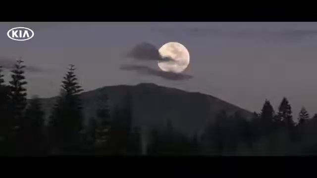 KIA SONET смотреть онлайн