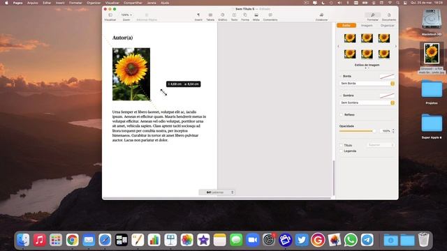 [TOP] 3 Super Dicas De Pages No Mac  Muito Útil Para Quem Está Começando
