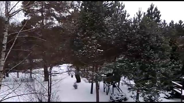 Работа Bester Box 4G MIMO в лесу //до б.с. 4 км. смотреть онлайн