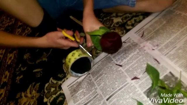 Делаем Розу из свеклы смотреть онлайн