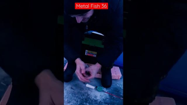 Воронеж Рыбалка Metal fish 36 смотреть онлайн