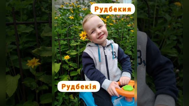 Челлендж "Кветкi маей краiны" смотреть онлайн