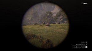 Превосходная Шкура Бизона. Red Dead Redemption 2.