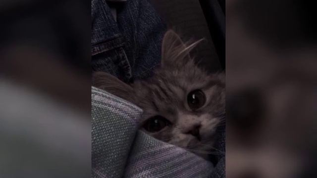 Kenan&Suleyman - Не похожа (speed Up)