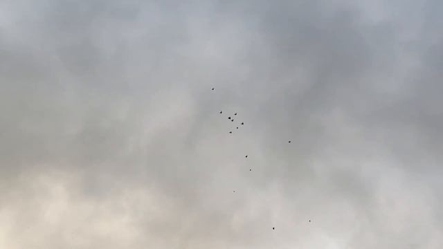 3 апреля 2023 г. смотреть онлайн