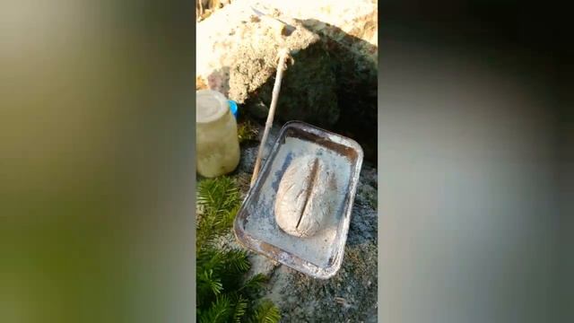 Ржаной хлеб на закваске. Пеку в лесу.