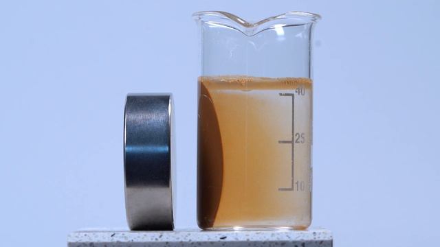 MagnoLIA смотреть онлайн