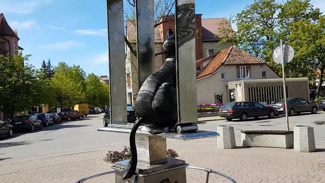 Памятник Зеленоградским котам смотреть онлайн