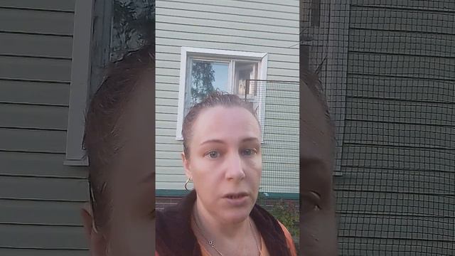 Siberian Wellness с Юлией