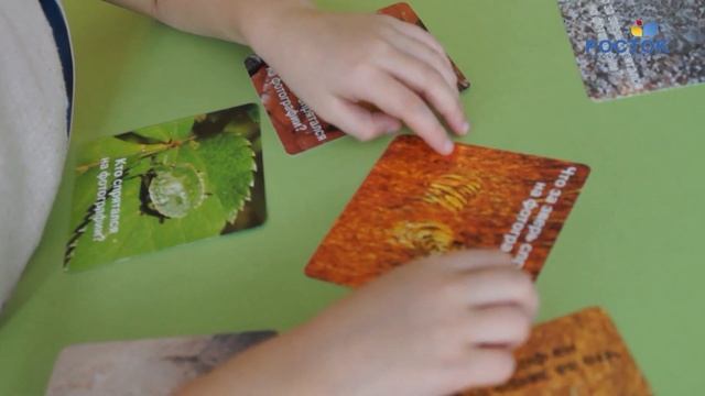 Полезные экологические игры