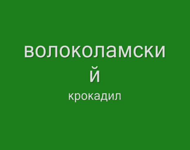 Волоколамский крокодил