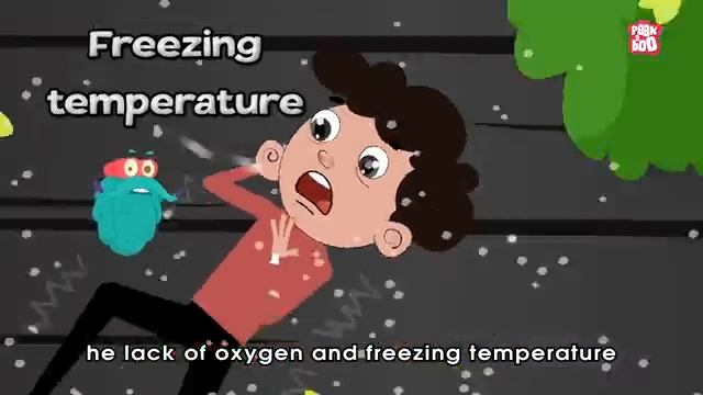 What If You Got Caught In A Tornado? | Natural Disaster | The Dr Binocs Show | Peekaboo Kidz смотреть онлайн