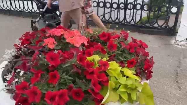 Тысячелетняя история. Ярославль отметил День города смотреть онлайн