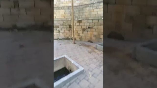 Источник Серафима Саровского Ставрополь. смотреть онлайн