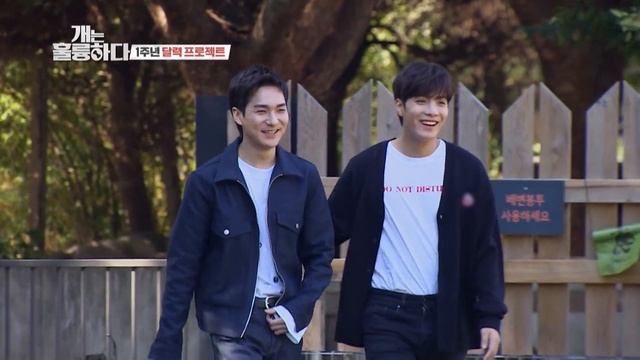 Wooseok will be partnered up with Bongpal! (Dogs are incredible) | KBS WORLD TV 201111 смотреть онлайн