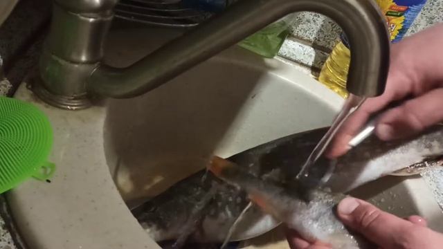Готовка, а главное, ЧИСТКА!)) Окуня. Быстро, качественно? смотреть онлайн