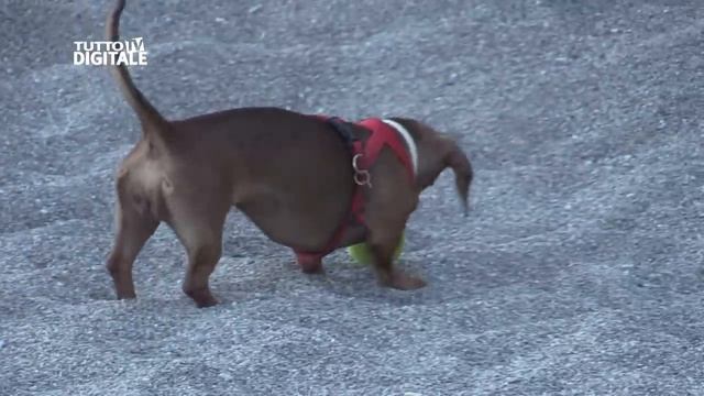 Canon XA20 Review смотреть онлайн