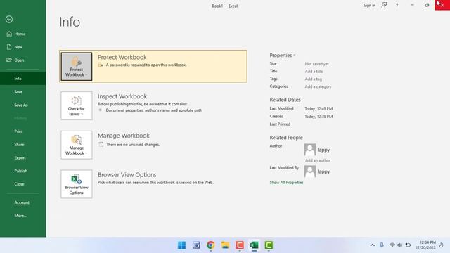How to Password Protect Microsoft Excel Worksheet in Windows 11/10 смотреть онлайн