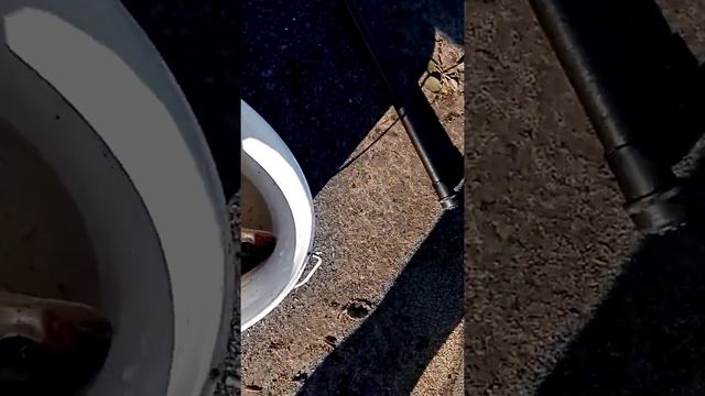 рыбалка в белозерском канале смотреть онлайн