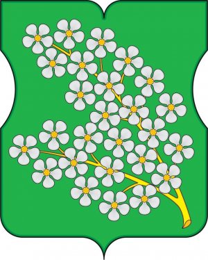 Внеочередное заседание Совета депутатов муниципального округа Черемушки №56 от 14.06.2022 года