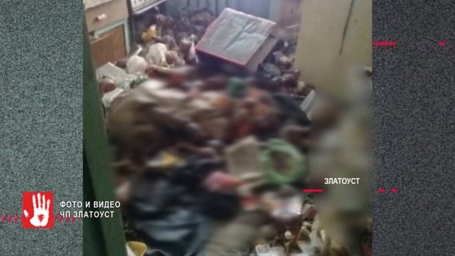 Квартира с сюрпризом. Жители дома в Златоусте были шокированы соседями сверху смотреть онлайн
