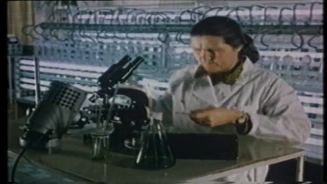 ЧУДО средство для РОСТА ВОЛОС, открытое советскими учеными?? смотреть онлайн
