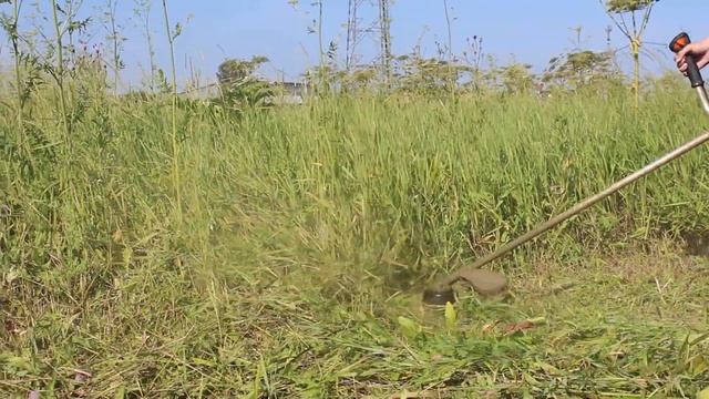 Покос высокой травы и бурьяна в дер. Большие Колпаны смотреть онлайн