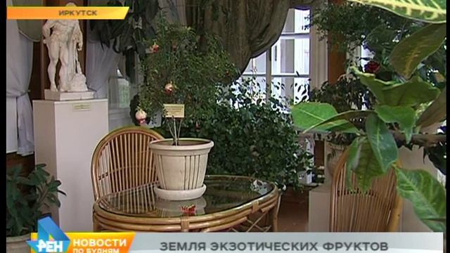 Сибирская экзотика: в Иркутске собирают урожай гранатов, абрикосов и кофе смотреть онлайн